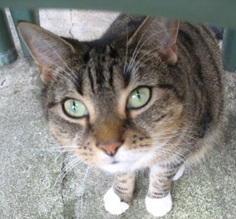 Dreams can save lives